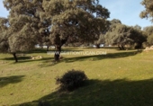 Terreno no urbanizable en venta en Parrillas ref: TR53852 foto