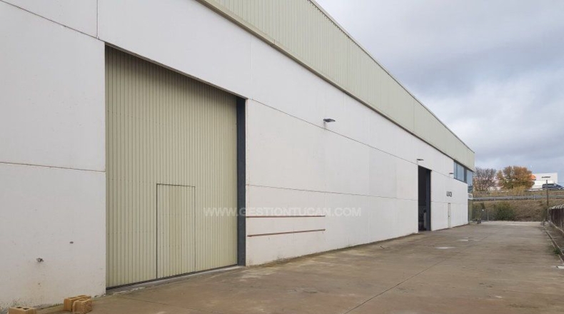 Toledo - Cazalegas - 2800m2
