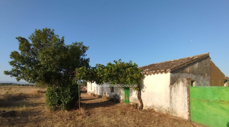 Toledo - Calera y Chozas - 28000m2