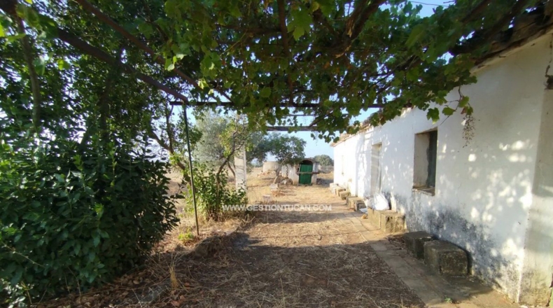 Toledo - Calera y Chozas - 28000m2