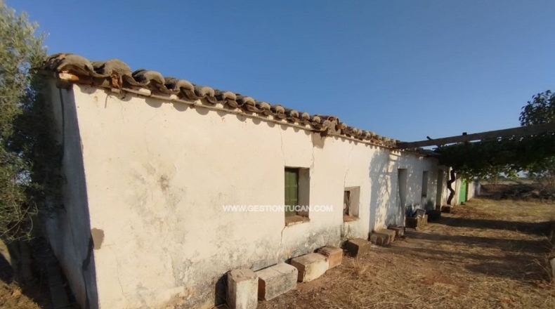 Toledo - Calera y Chozas - 28000m2