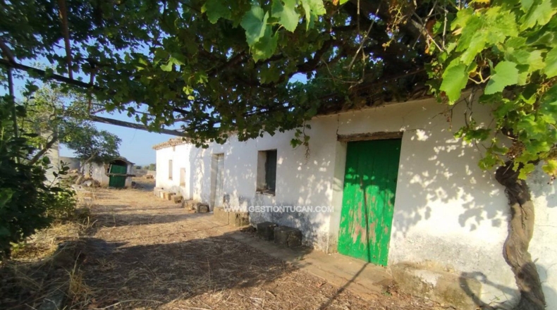 Toledo - Calera y Chozas - 28000m2