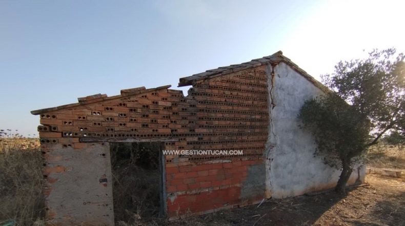 Toledo - Calera y Chozas - 28000m2