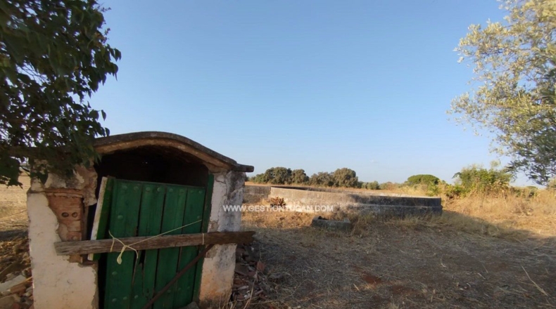 Toledo - Calera y Chozas - 28000m2
