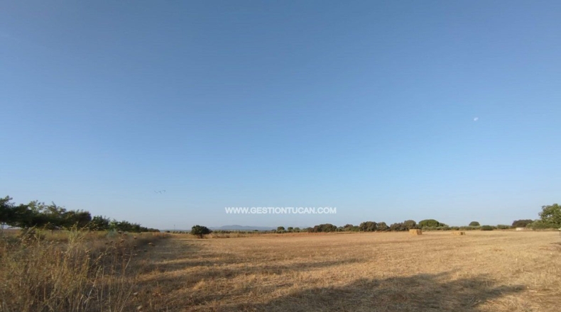Toledo - Calera y Chozas - 28000m2
