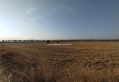 Земельный участок на продажу в городе Calera y Chozas. Фото