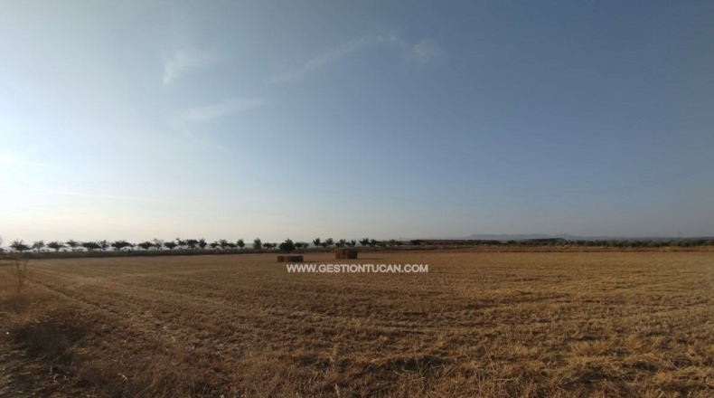 Toledo - Calera y Chozas - 28000m2