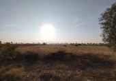 Земельный участок на продажу в городе Calera y Chozas. Фото