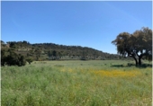 Terreno no urbanizable en venta en La Codosera ref: TR53851 foto