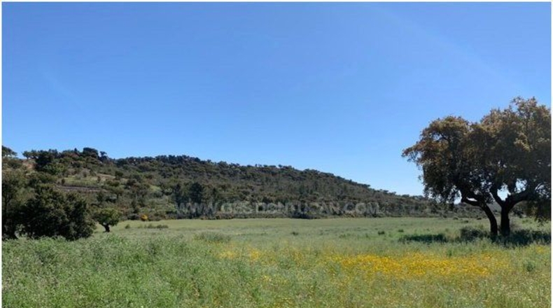 Badajoz - La Codosera - 1950000m2