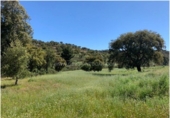 Terreno no urbanizable en venta en La Codosera ref: TR53851 foto