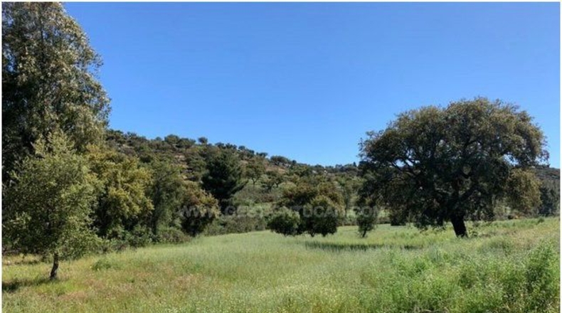 Badajoz - La Codosera - 1950000m2