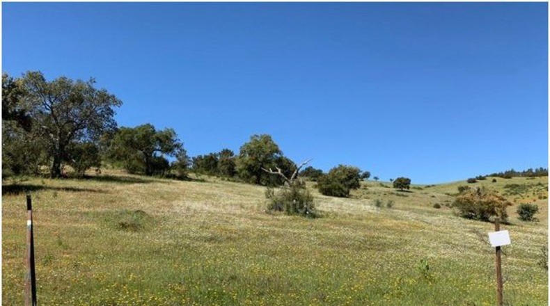 Badajoz - La Codosera - 1950000m2