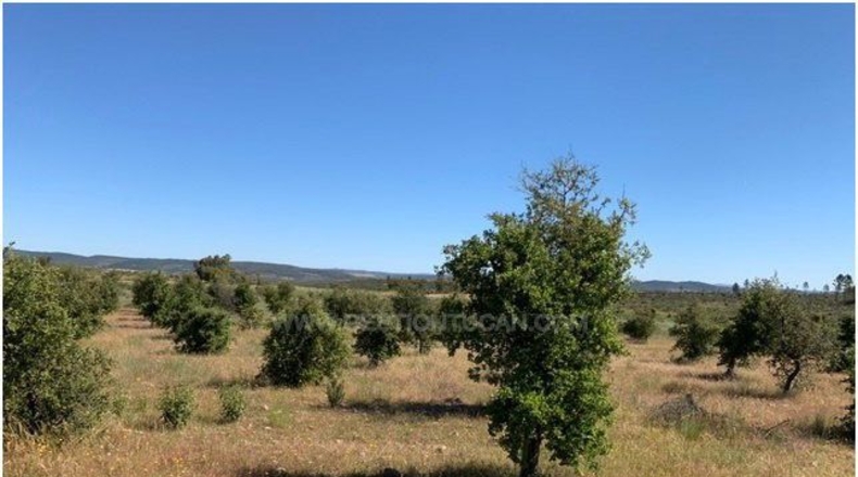 Badajoz - La Codosera - 1950000m2