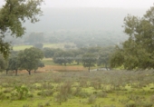 Finca rústica en venta en Serrejón ref: TR29660 foto