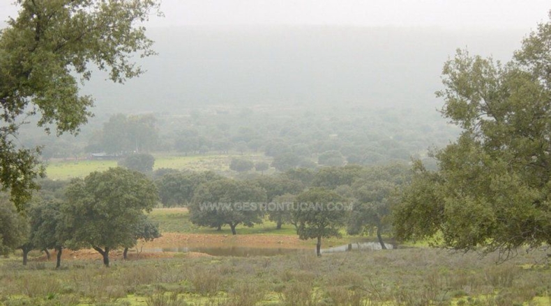 Cáceres - Serrejón - 1850000m2