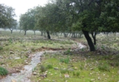 Finca rústica en venta en Serrejón ref: TR29660 foto