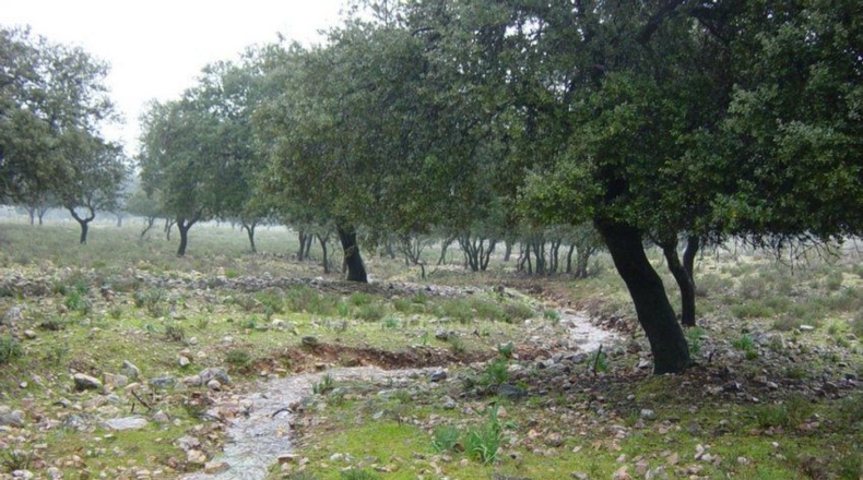 Cáceres - Serrejón - 1850000m2