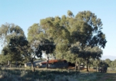 Finca rústica en venta en Serrejón ref: TR29660 foto