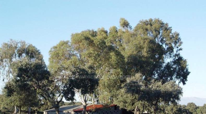 Cáceres - Serrejón - 1850000m2
