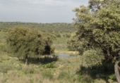 Finca rústica en venta en Serrejón ref: TR29660 foto