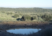 Finca rústica en venta en Serrejón ref: TR29660 foto