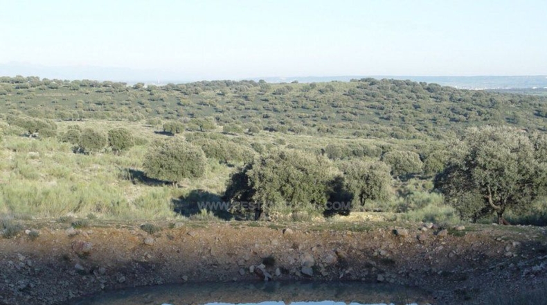 Cáceres - Serrejón - 1850000m2