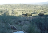 Finca rústica en venta en Serrejón ref: TR29660 foto
