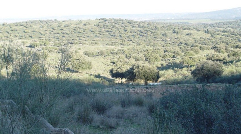 Cáceres - Serrejón - 1850000m2