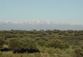 Finca rústica en venta en Serrejón ref: TR29660 foto