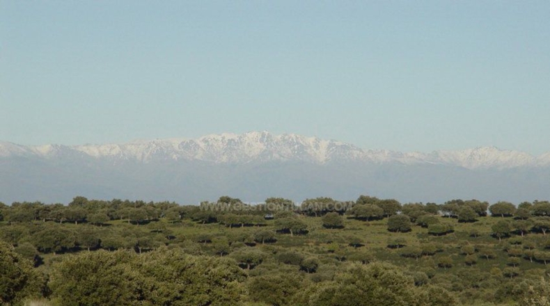 Cáceres - Serrejón - 1850000m2
