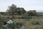 Finca rústica en venta en Serrejón ref: TR29660 foto