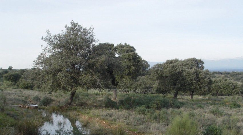 Cáceres - Serrejón - 1850000m2
