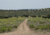 Finca rústica en venta en Serrejón ref: TR29660 foto