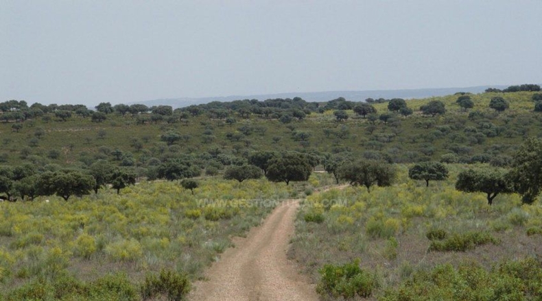 Cáceres - Serrejón - 1850000m2