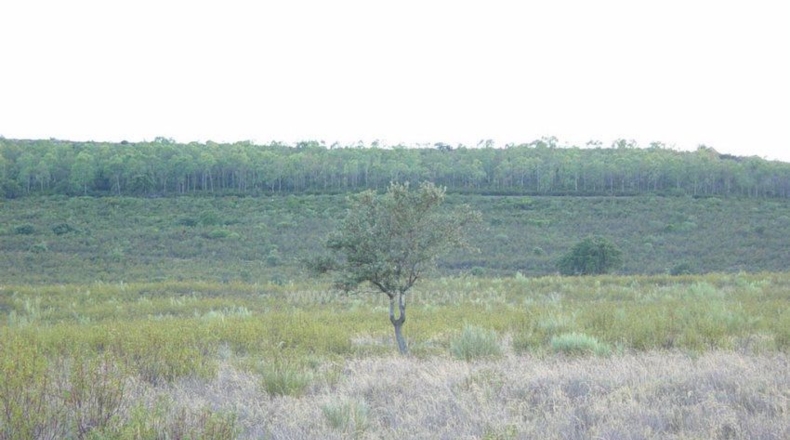 Cáceres - Serrejón - 1850000m2