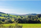 Rural estate for sale in Barajas de Melo ref: TR22894 photo