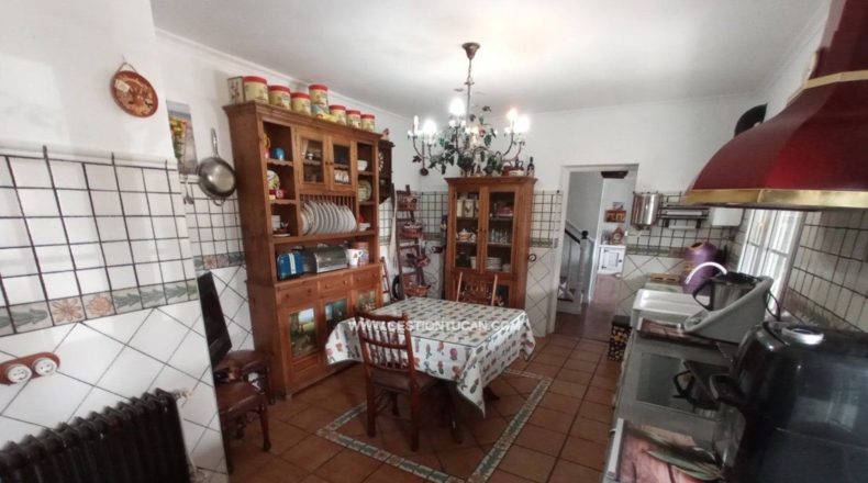 Toledo - Pepino - 776m2