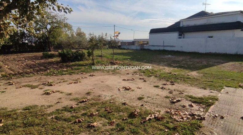 Toledo - El Gran Chaparral - 700m2