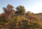 Finca rústica en venta en Talavera de la Reina ref: TR29883 foto