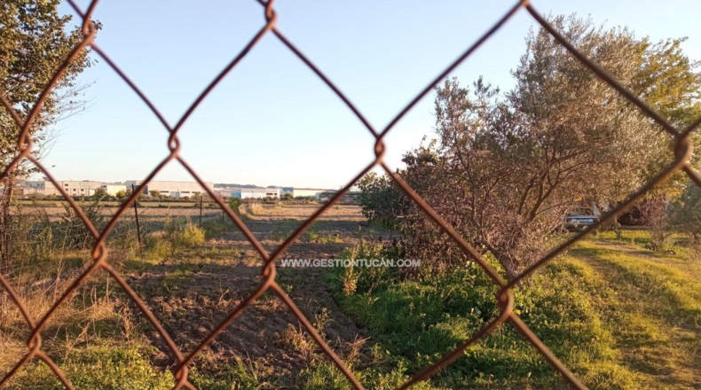 Toledo - Talavera de la Reina - 10840m2