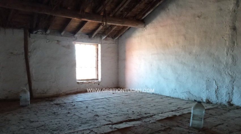 Toledo - Torrico - 377m2