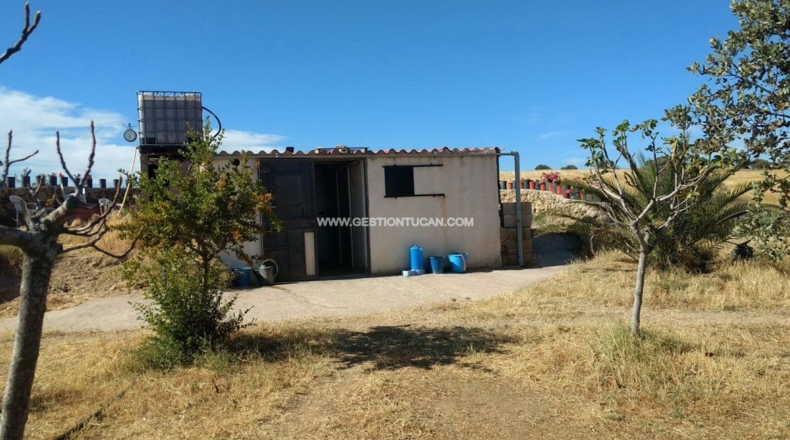 Toledo - Lagartera - 3142m2