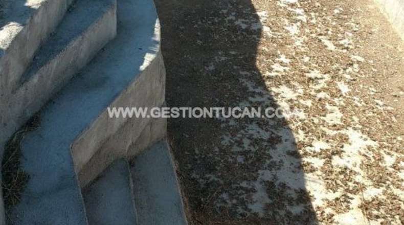 Toledo - Lagartera - 3142m2