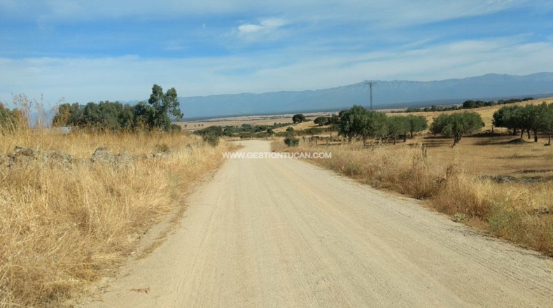 Toledo - Lagartera - 3142m2