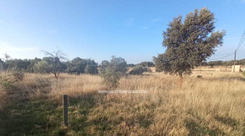 Toledo - Reguerones - 4354m2