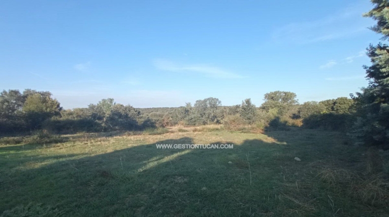 Toledo - Serranillos Playa - 3992m2