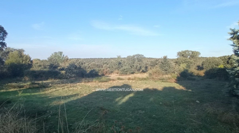 Toledo - Serranillos Playa - 3992m2