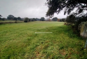 Parrillas 3307&nbsp;m² 