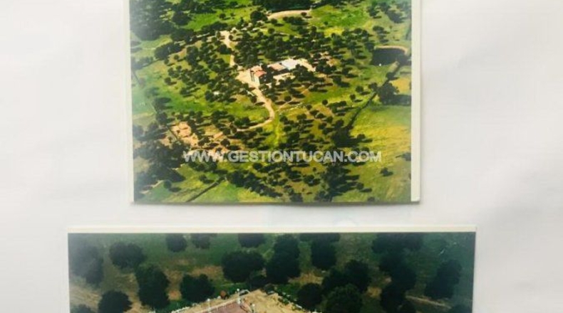 Toledo - Parrillas - 300000m2
